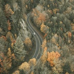 Fall color in the Blue Ridge mountains